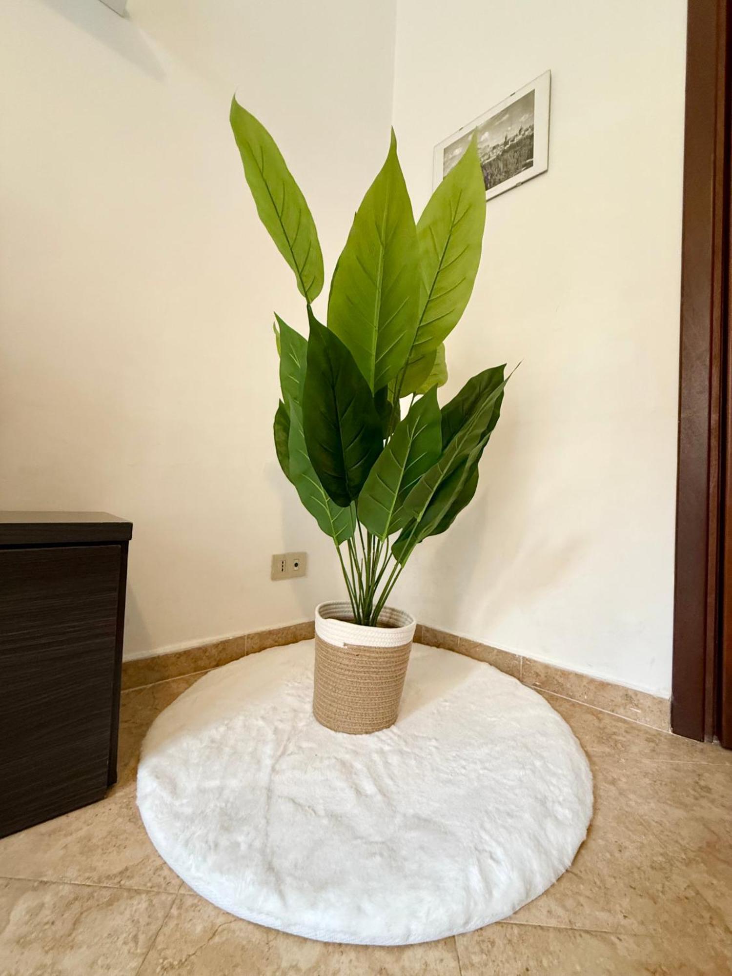 Gigi'S Apartment باليرمو المظهر الخارجي الصورة
